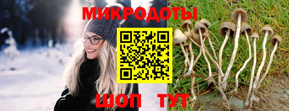 магазин продажи наркотиков  Вход с VPN  Нововоронеж  Галлюциногенные грибы мухоморы 